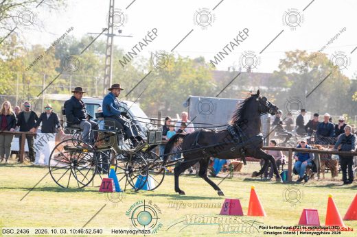 Mintakép 20261003-1769