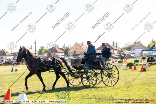 Mintakép 20261003-1793