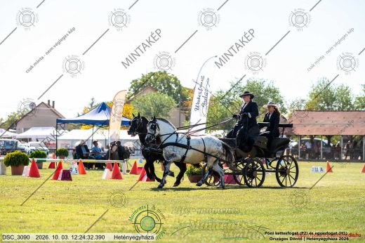 20261003-122432-DSC_3090.jpg