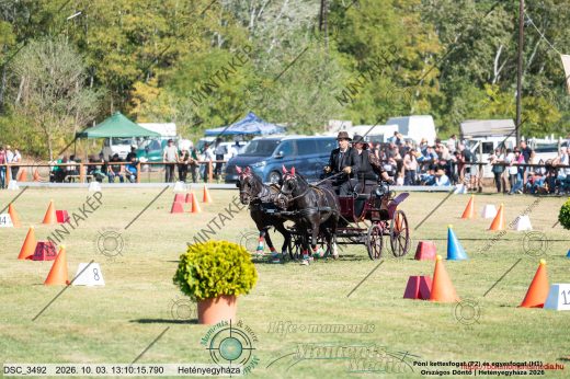 20261003-131015-DSC_3492.jpg
