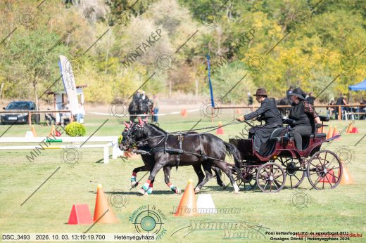20261003-131019-DSC_3493.jpg
