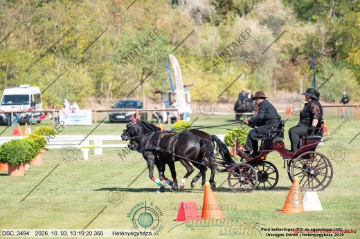 20261003-131020-DSC_3494.jpg