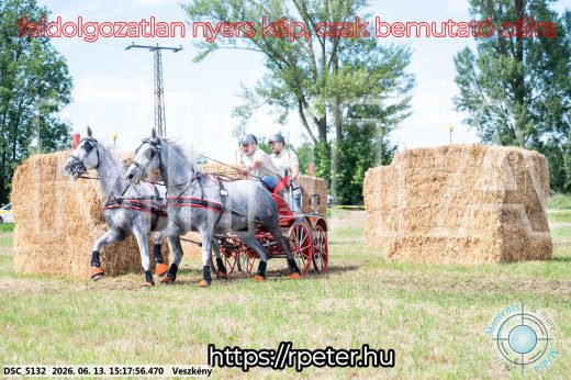 Mintakép 20260613-195