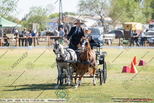 20261003-112050-DSC_2670.jpg