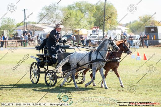 20261003-112052-DSC_2671.jpg