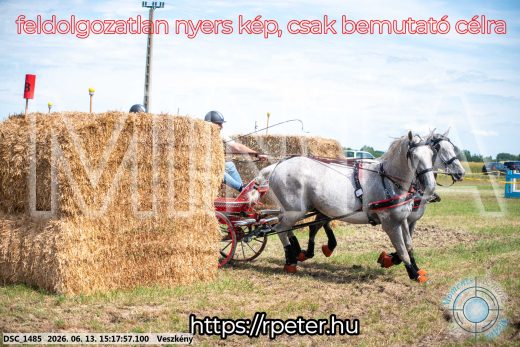 Mintakép 20260613-196
