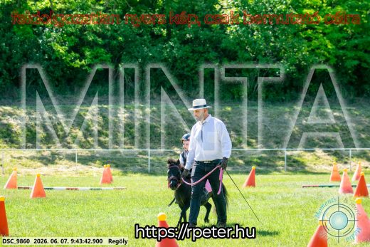 Mintakép 20260607-384
