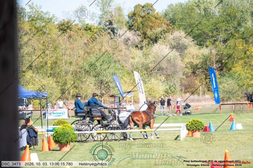 20261003-130615-DSC_3473.jpg