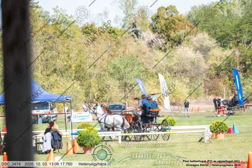 20261003-130617-DSC_3474.jpg