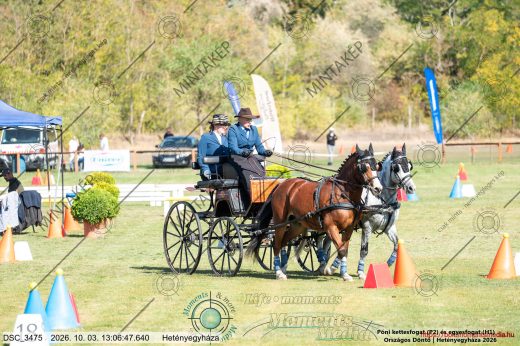 20261003-130647-DSC_3475.jpg