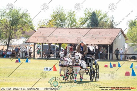 Mintakép 20261003-2067