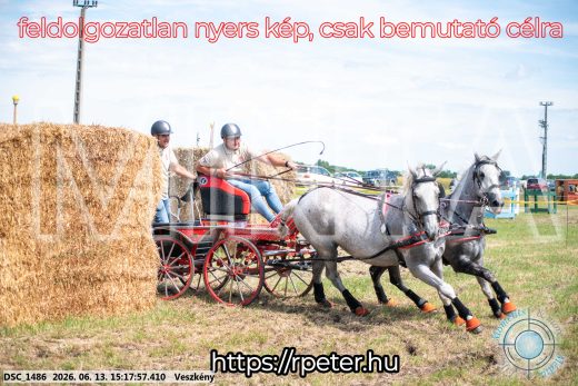 Mintakép 20260613-197