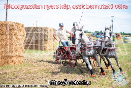 Mintakép 20260613-198