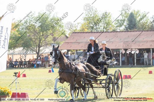Mintakép 20261003-2188