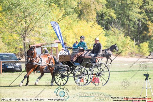 20261003-103951-DSC_2387.jpg