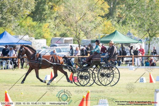 20261003-104011-DSC_2389.jpg