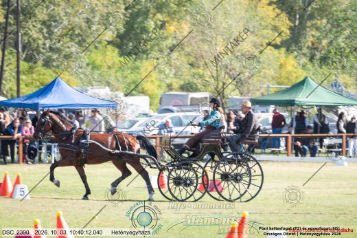 20261003-104012-DSC_2390.jpg