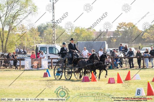 20261003-111354-DSC_2623.jpg