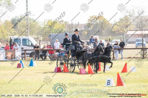 20261003-111355-DSC_2625.jpg