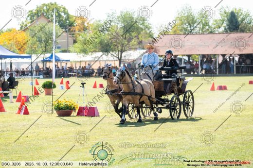 Mintakép 20261003-2387
