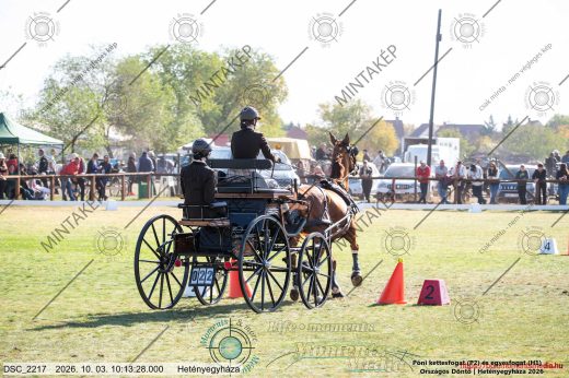 20261003-101328-DSC_2217.jpg