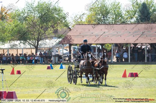 20261003-124046-DSC_3259.jpg