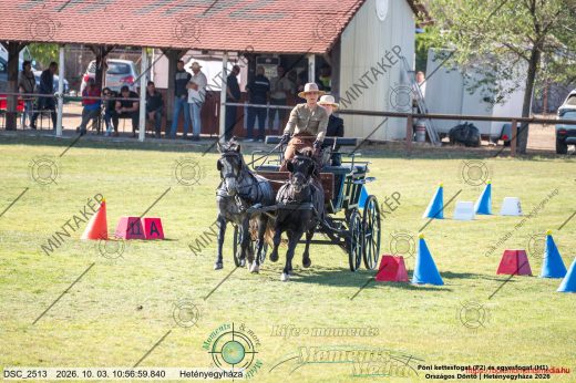 20261003-105659-DSC_2513.jpg
