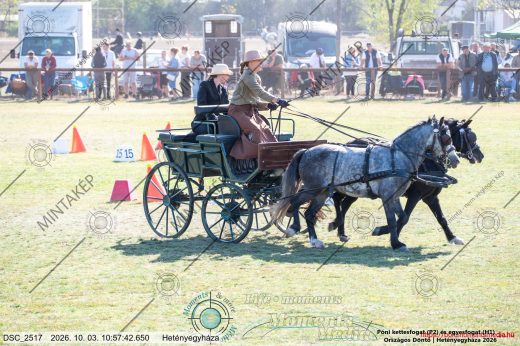 20261003-105742-DSC_2517.jpg