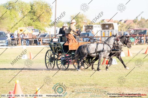 Mintakép 20261003-2570