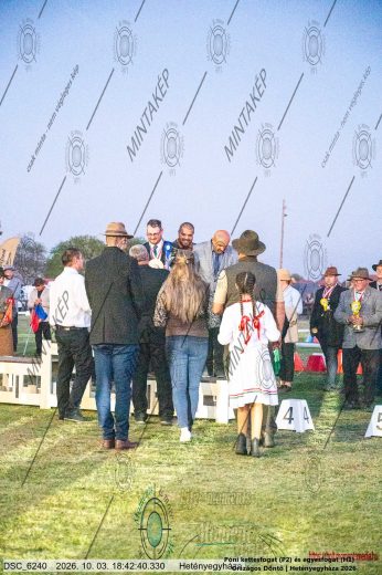 Mintakép 20261003-2693