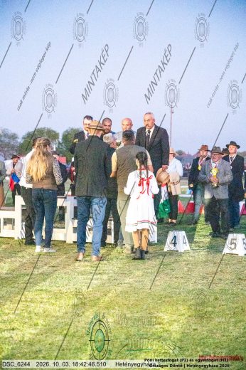 Mintakép 20261003-2696