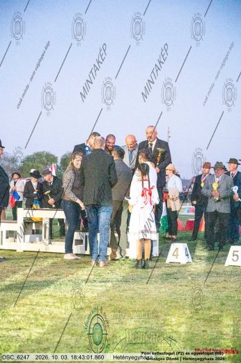 Mintakép 20261003-2703