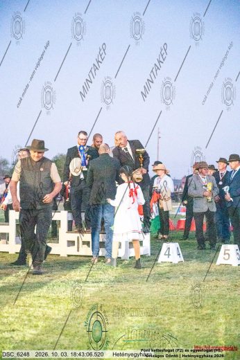 Mintakép 20261003-2704