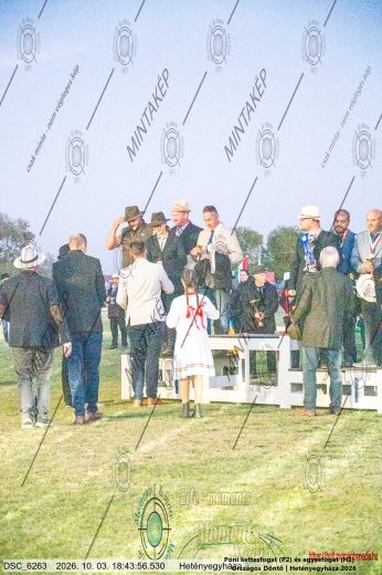 Mintakép 20261003-2716