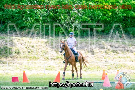 Mintakép 20260607-455