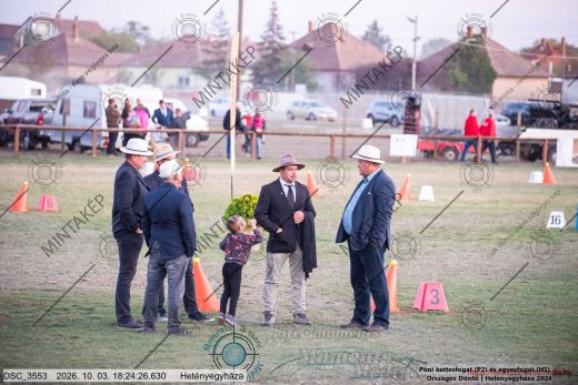 Mintakép 20261003-2804