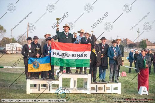 Mintakép 20261003-2994