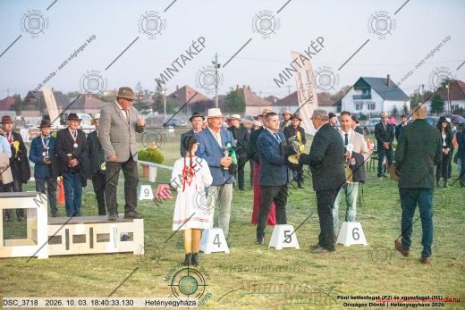 Mintakép 20261003-3022
