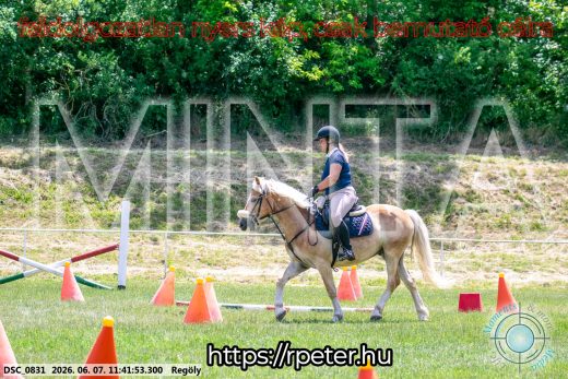 Mintakép 20260607-490