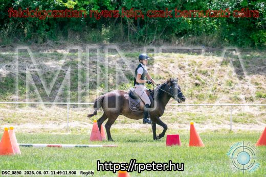 Mintakép 20260607-534