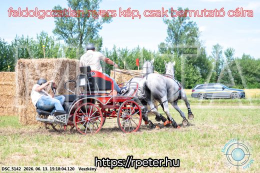 Mintakép 20260613-212