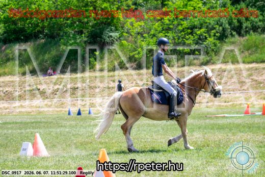 Mintakép 20260607-552