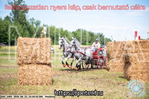 Mintakép 20260613-214