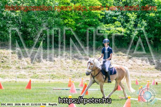 Mintakép 20260607-560