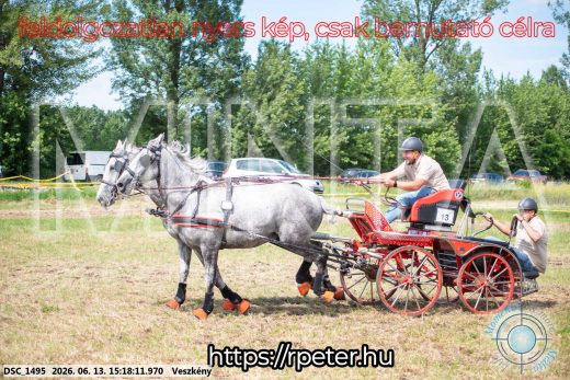 Mintakép 20260613-216