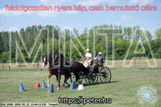 20260531-154413-DSC_6390.jpg
