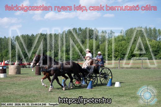 Mintakép 20260531-5