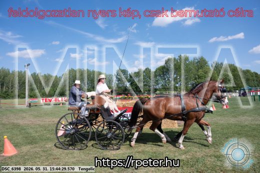 Mintakép 20260531-7