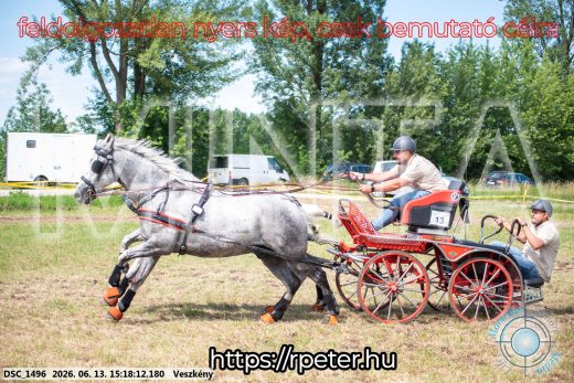Mintakép 20260613-217