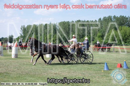 Mintakép 20260531-14
